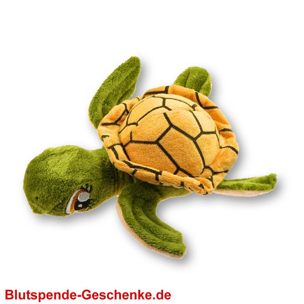 Blutspendegeschenk Baby-Schildkr&ouml;te