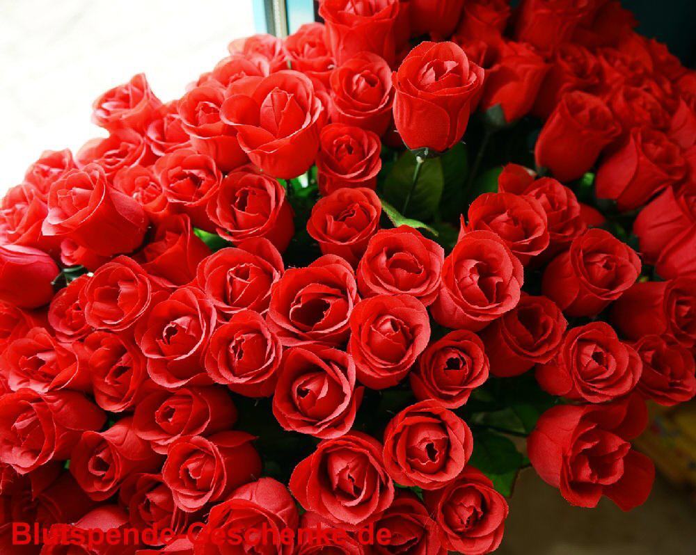 Blutspendegeschenk Baccara Rose