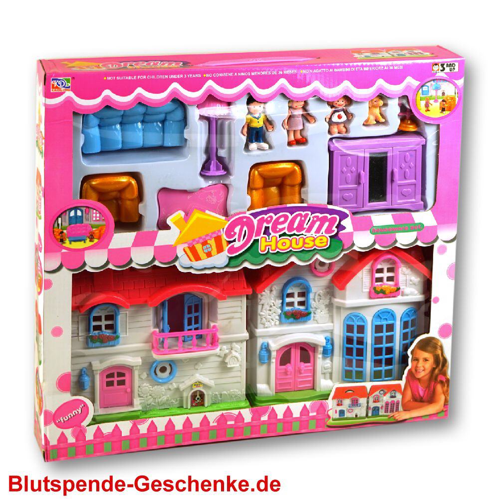 Blutspendegeschenk Dreamhouse