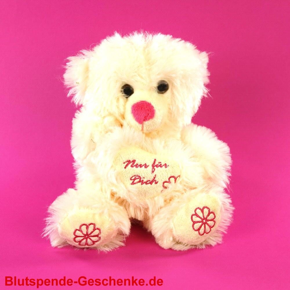 Blutspendegeschenk Pl&uuml;schb&auml;r
