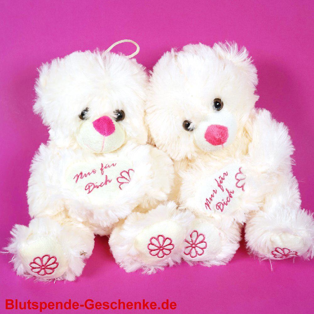 Blutspendegeschenk Pl&uuml;schb&auml;ren mit Herz