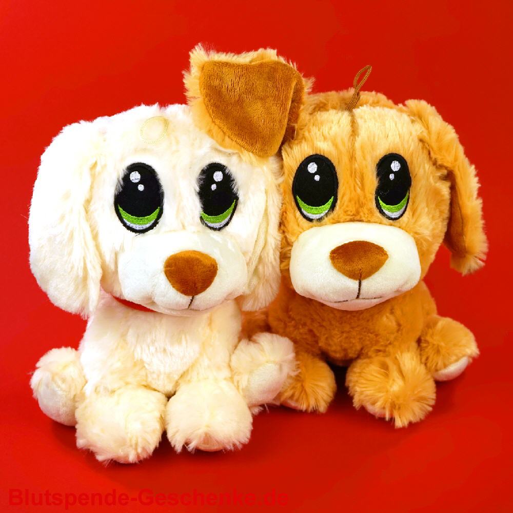 Blutspendegeschenk Pl&uuml;schhund 25 cm