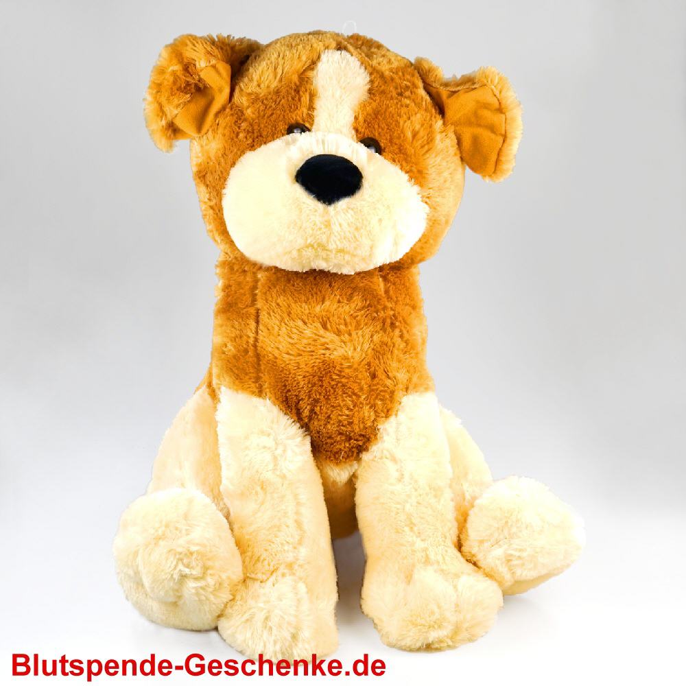 Blutspendegeschenk Pl&uuml;schhund sitzend 60 cm