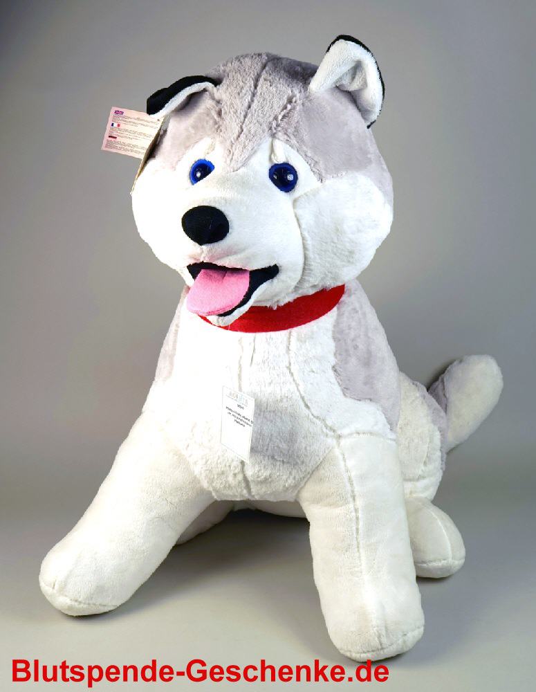 Blutspendegeschenk Pl&uuml;sch-husky 60 cm