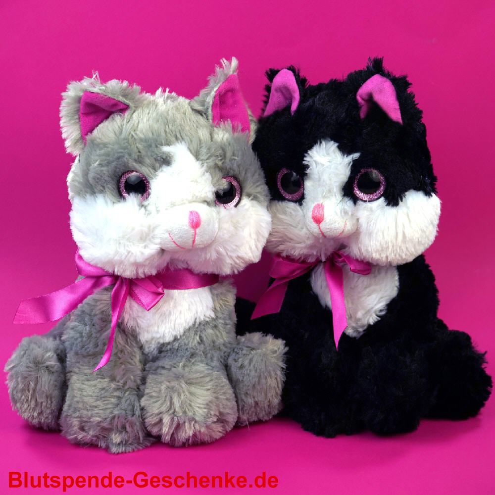 Blutspendegeschenk Pl&uuml;sch-Katzen