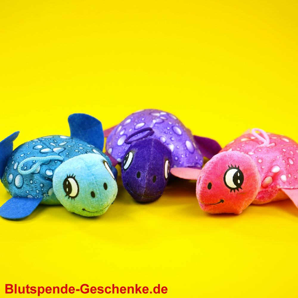 Blutspendegeschenk Kleine Pl&uuml;sch-Schildkr&ouml;ten