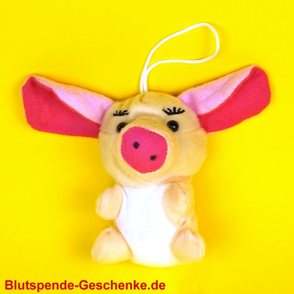 Blutspendegeschenk Pl&uuml;sch-Schweinchen