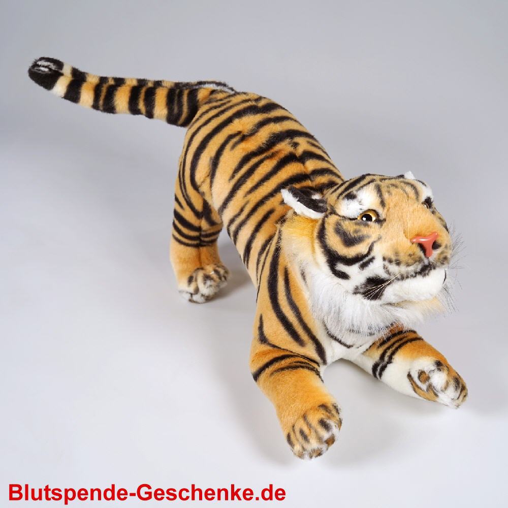 Blutspendegeschenk Pl&uuml;schtiger
