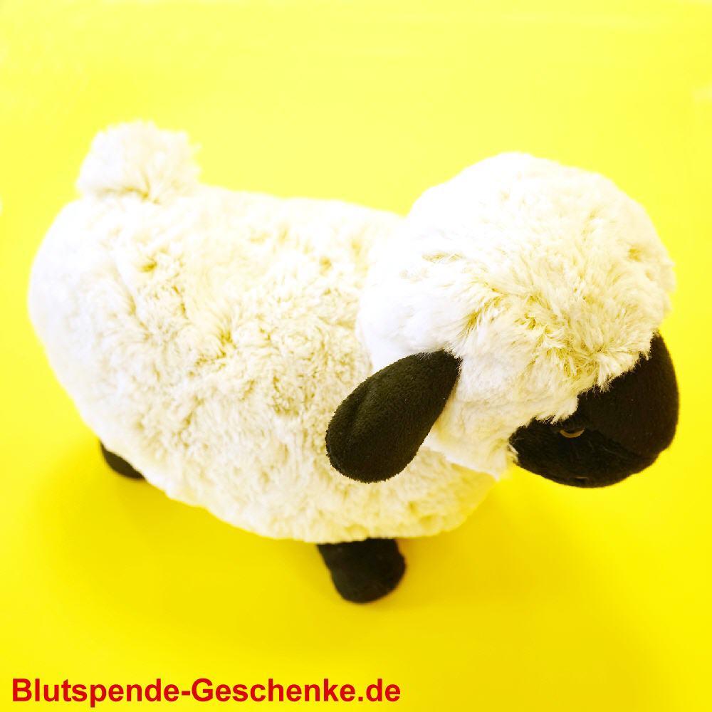 Blutspendegeschenk Pl&uuml;sch Schaf stehend 25 cm