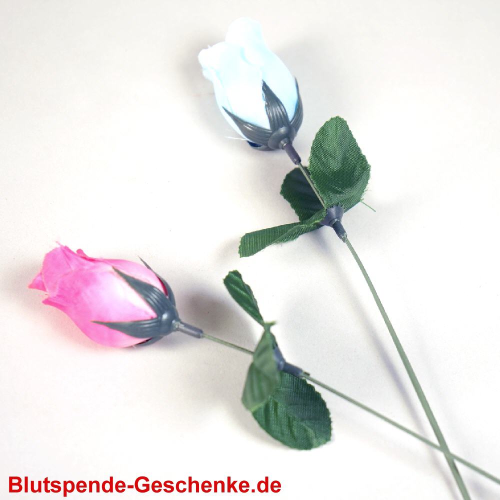 Blutspendegeschenk Seidenrose