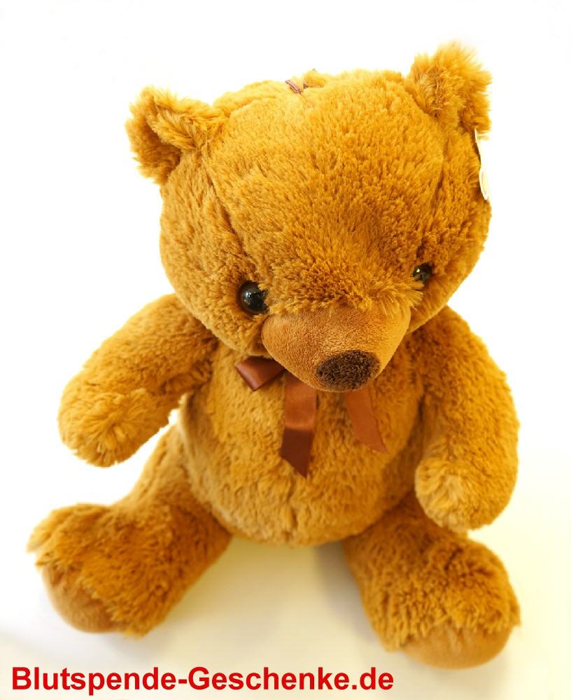 Blutspendegeschenk Sitzender Softpl&uuml;schb&auml;r